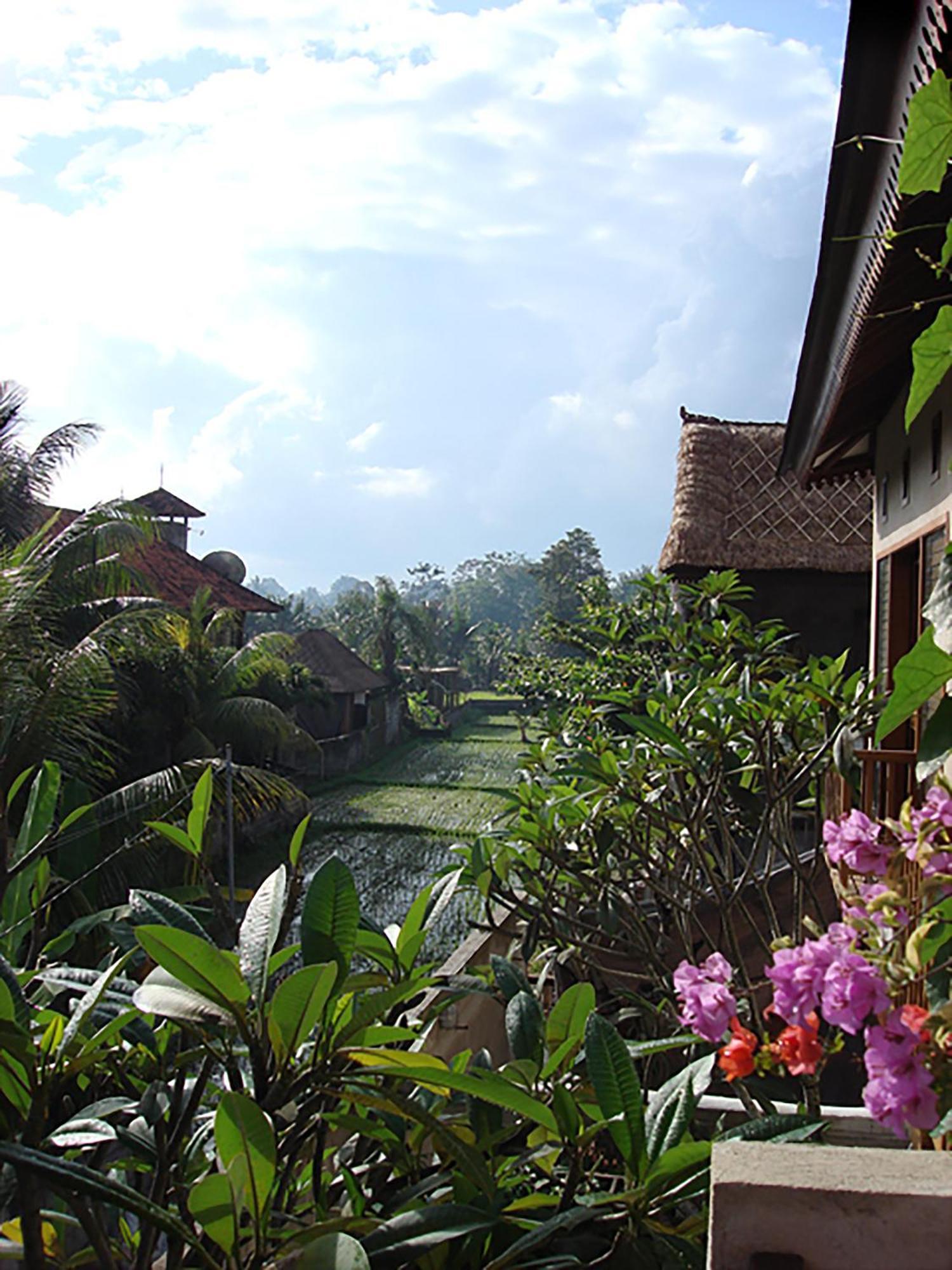 Villa Puriartha Ubud - Chse Certified Kültér fotó